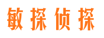 南涧侦探公司